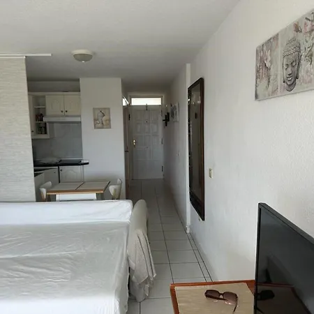 Apartamento Borinquen Mit Pool Und Meerblick By Interhome Costa Adeje (Tenerife)
